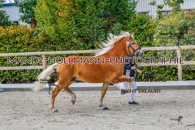 GK (580 von 759) | mandyhollmannphotographie