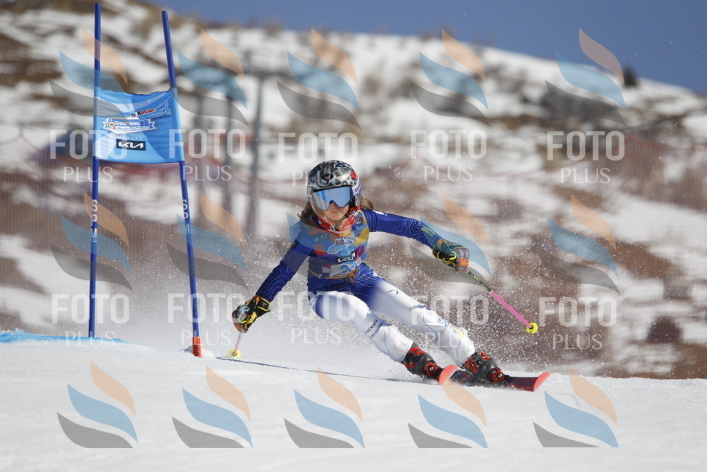 _U3G9086 | holidayphoto