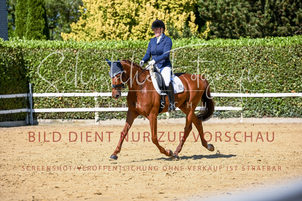 Schugtsche-Aluta25-50.Dressurpferdeprf.L-116 | Schugtsche Fotografie - Realisiert mit Pictrs.com