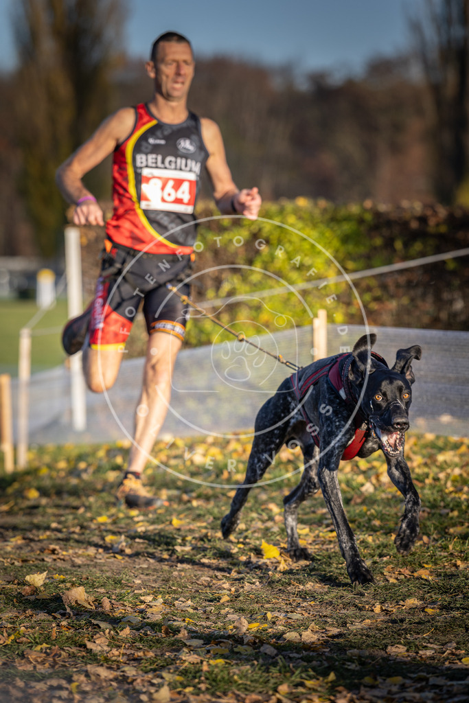 CaniXpix_DV3A4094 | Hundefotografie, Tierfotograf, Pfotenfotografie, Fotoshooting Hund, Hunde Portrait, Hundesport, Hundeportraits, Heideshooting, Hunde, Sportfotograf, Hundefotograf, Turnierhundsport, THS,  - Realisiert mit Pictrs.com