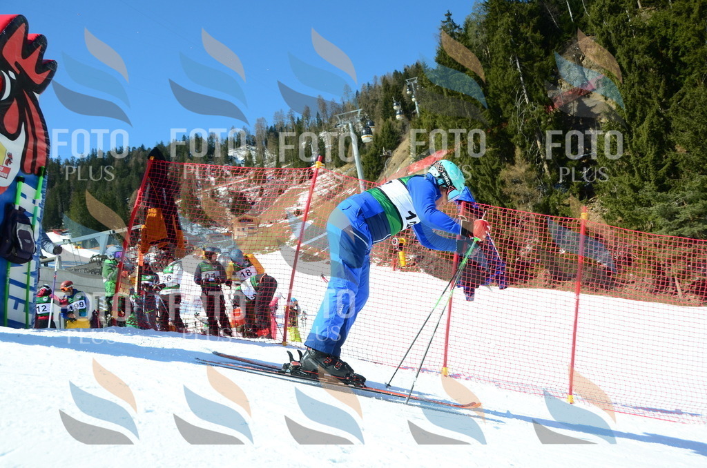 C6523 | holidayphoto