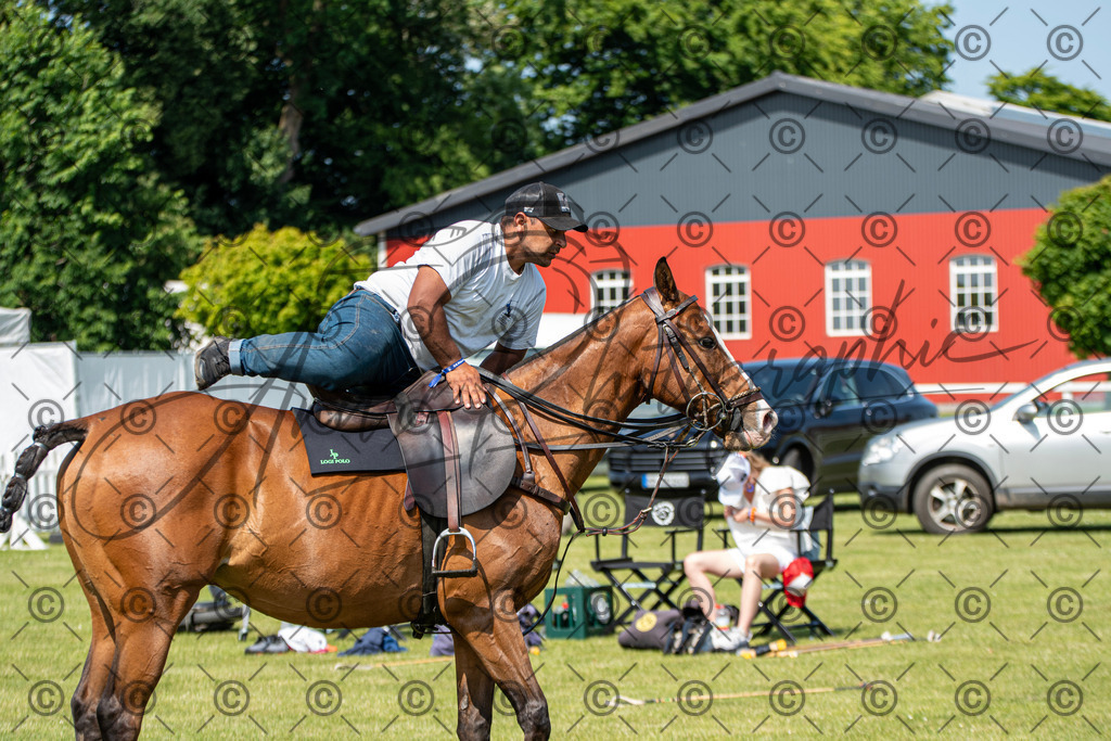 POL_2326 | andre_photographic