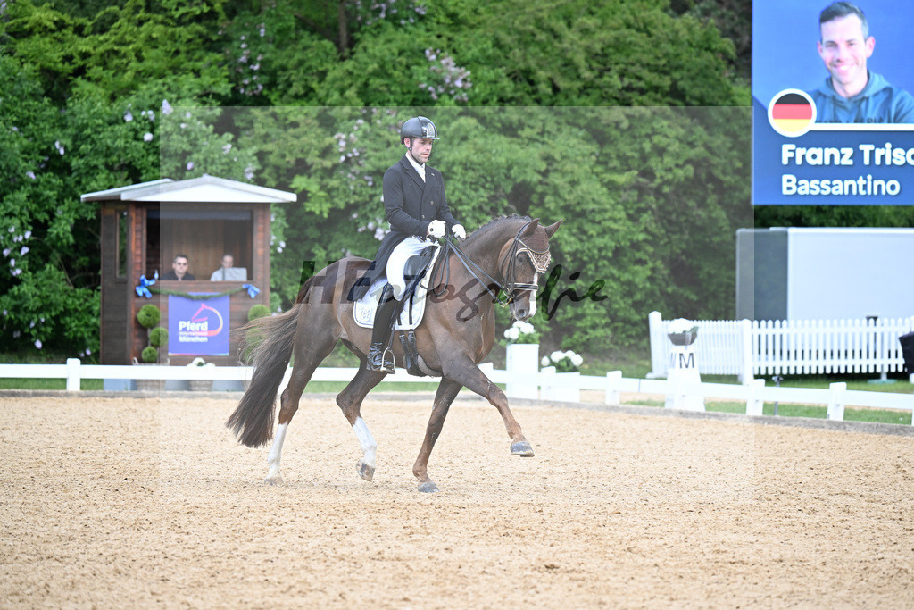 Equistro Dressurderby_26268195 | hf-fotografie - Realisiert mit Pictrs.com