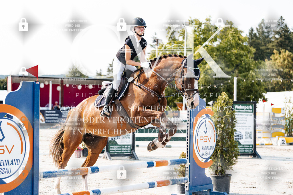 CK902757 | Turnierfotografie Pferdefotografie Trier Rheinland-Pfalz Pferdesport Reitsport Tierfotografie Sportfotografie Pferdevideo Pferdevideografie Equestrianvideography equestrianphotography  - Realisiert mit Pictrs.com