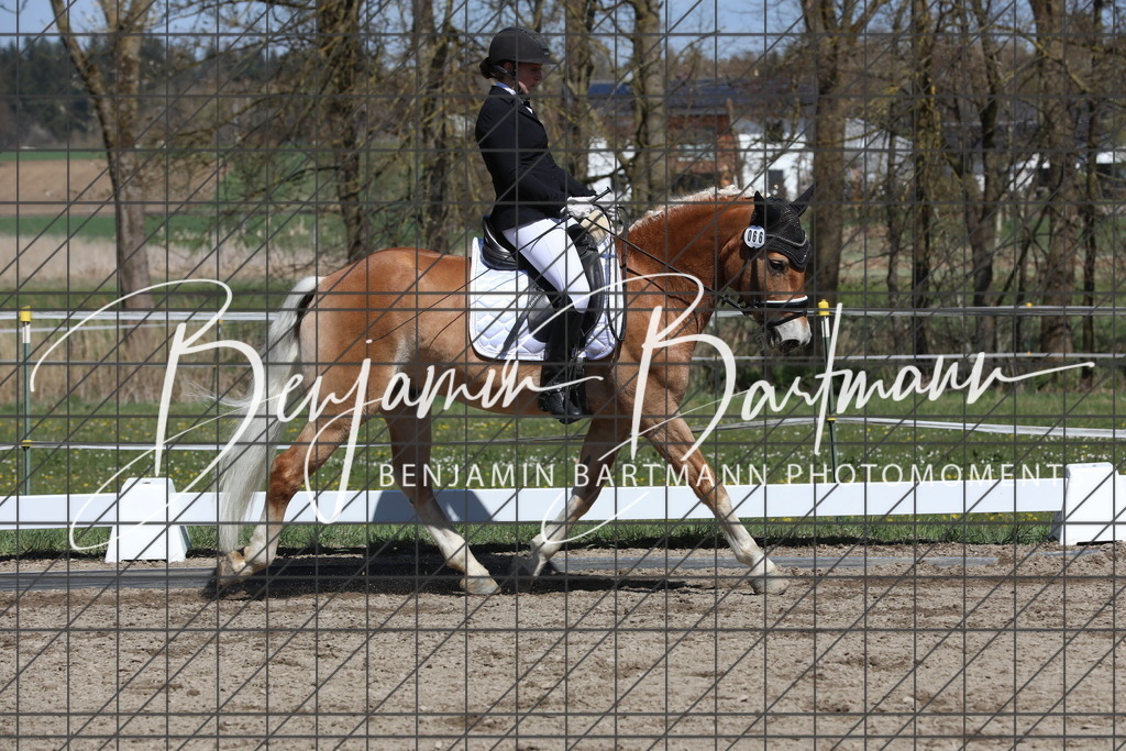 AZ2A4774 | Benjamin Bartmann Photomoments