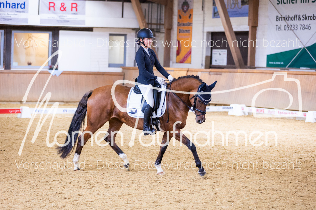 Sth-A-Dre-2St-214 | MomenTaufnahmen Pferdesportfotos