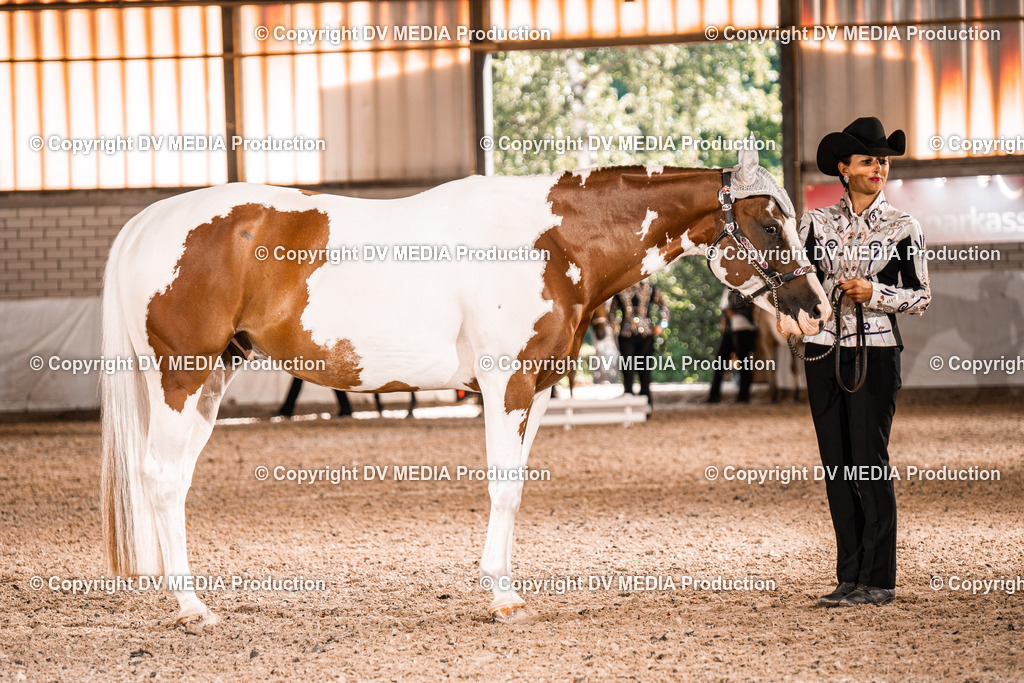 ZH100038 | dv-media-shop - Realisiert mit Pictrs.com