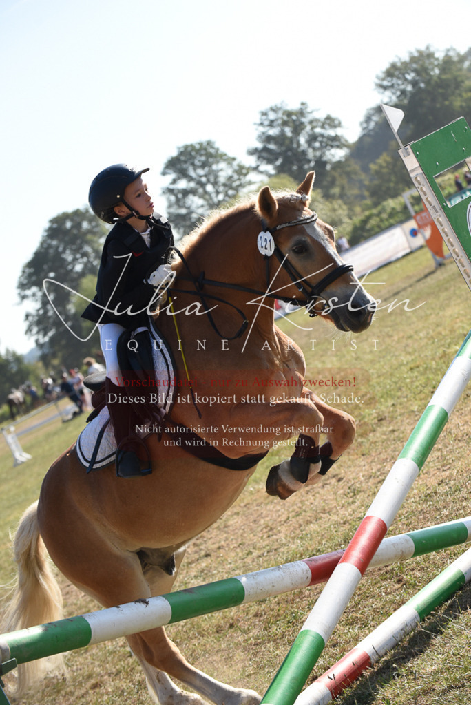 DSC_5802 | Pferde- und Turnierfotografie in Westsachsen. Pferdeportraits, Auftragszeichnungen und intuitive Kunst.