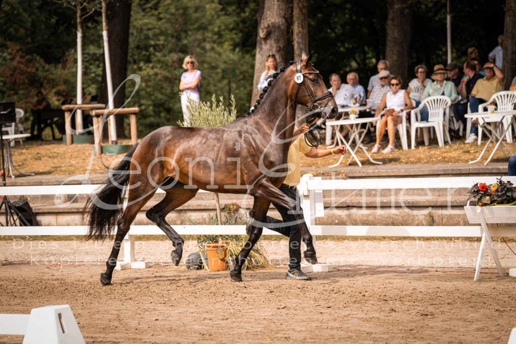 5.Fr00076 | Leoni Ertmer Photography - Realisiert mit Pictrs.com