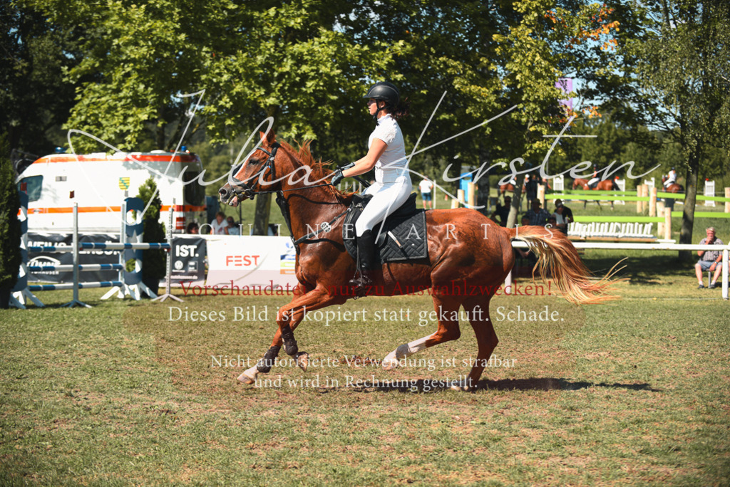 DSC_7125 | Pferde- und Turnierfotografie in Westsachsen. Pferdeportraits, Auftragszeichnungen und intuitive Kunst.