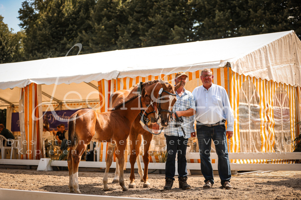 07.DoWBS00140 | Leoni Ertmer Photography - Realisiert mit Pictrs.com