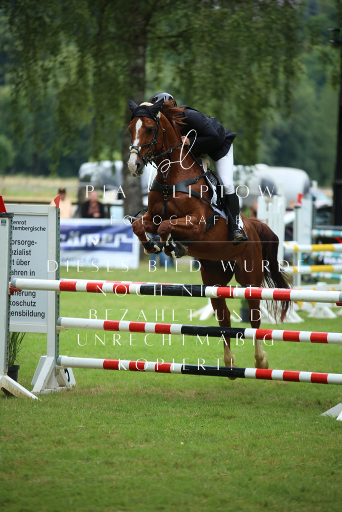 IMGM4134 | pl-fotografie