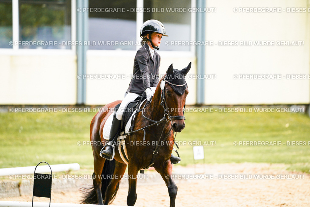 DSC00351 | Pferdegrafie