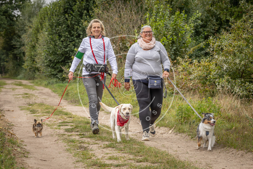 Pfotenfotografie_DV3A6988 | Hundefotografie, Tierfotograf, Pfotenfotografie, Fotoshooting Hund, Hunde Portrait, Hundesport, Hundeportraits, Heideshooting, Hunde, Sportfotograf, Hundefotograf, Turnierhundsport, THS,  - Realisiert mit Pictrs.com