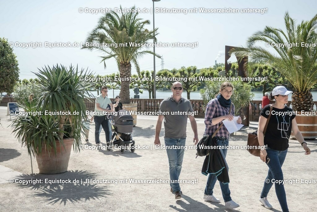 ZFC_3951 | equistock