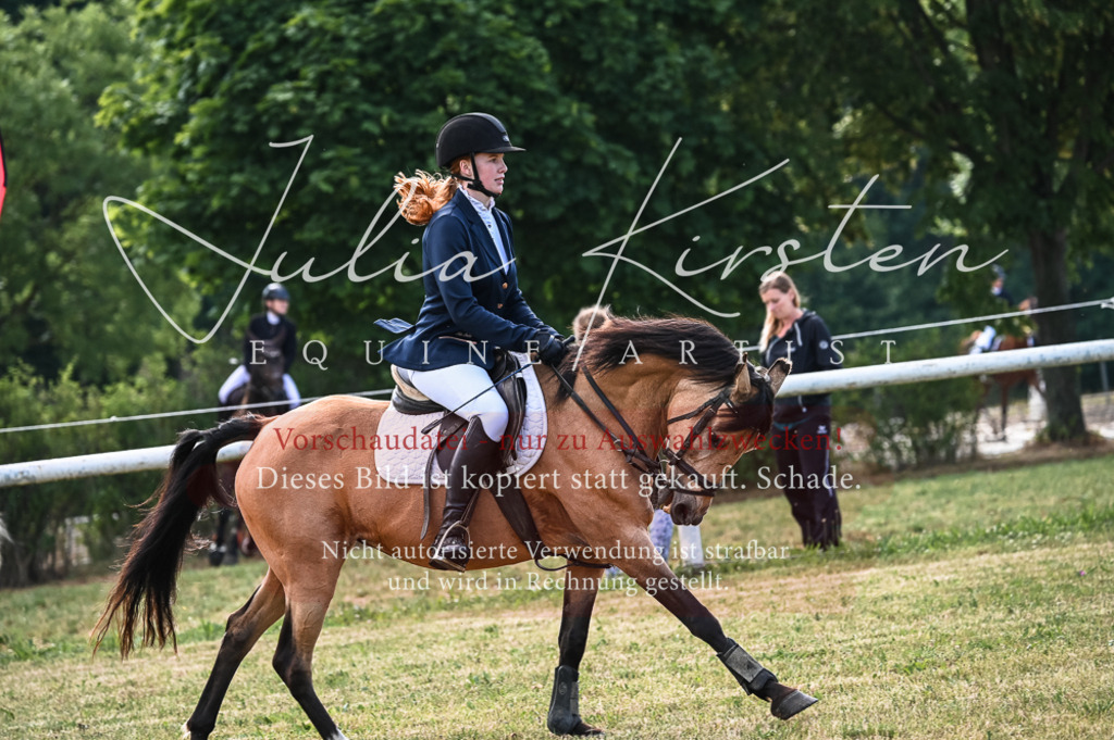 DSC_8033 | Pferde- und Turnierfotografie in Westsachsen. Pferdeportraits, Auftragszeichnungen und intuitive Kunst.