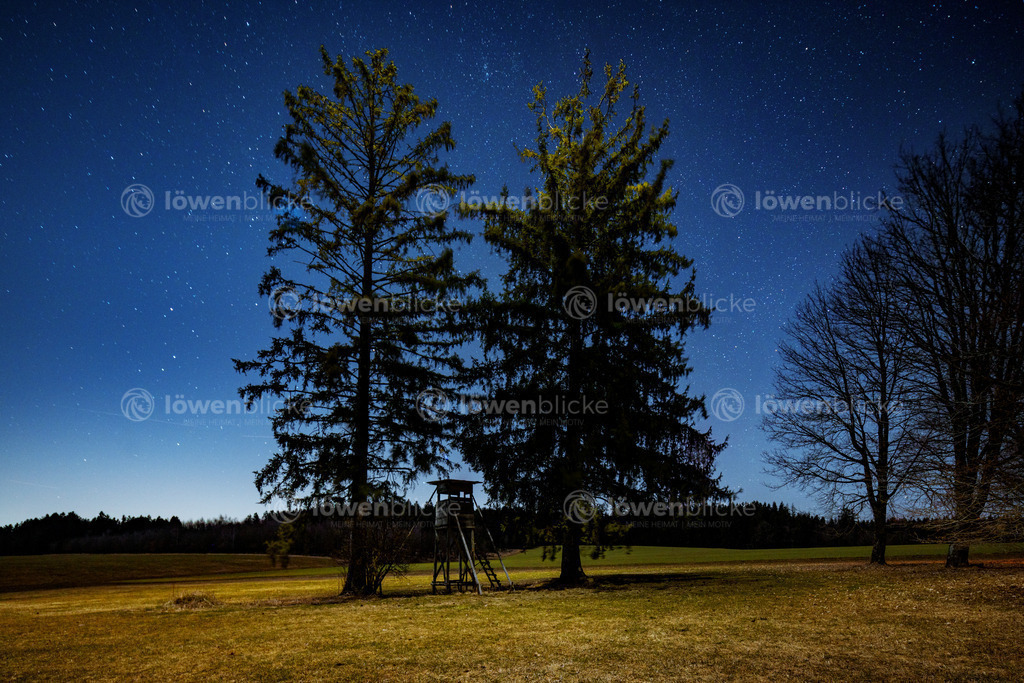 Nachthimmel mit Sternen | löwenblicke | shop