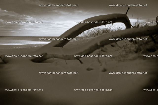 055-Usedom-Wi_2023 | Hochzeitsfotografie Königs Wusterhausen, Eventfotografie, Babyfotografie, Kindergartenfotografie, Schulfotografie, Luftbildfotografie, Landschaftsfotografie - Realisiert mit Pictrs.com