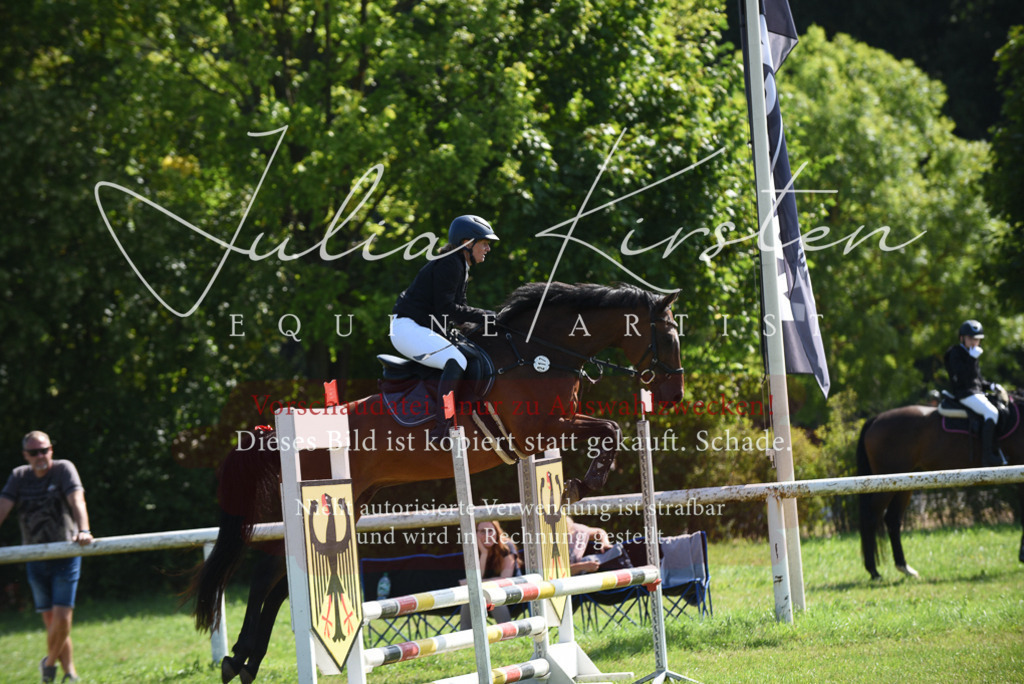 DSC_9111 | Pferde- und Turnierfotografie in Westsachsen. Pferdeportraits, Auftragszeichnungen und intuitive Kunst.