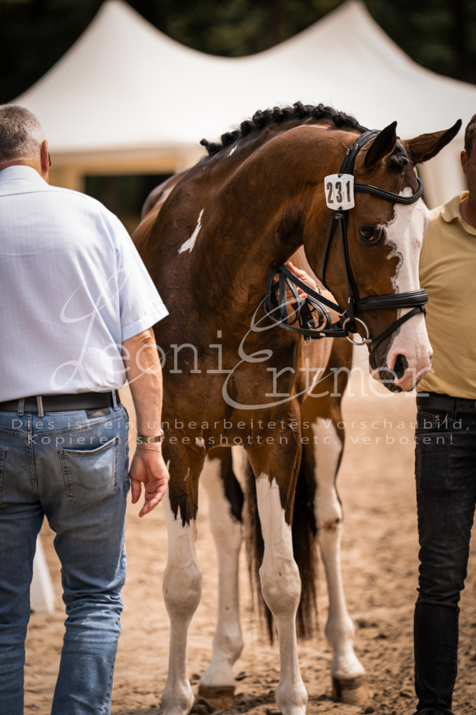 3.Fr00197 | Leoni Ertmer Photography - Realisiert mit Pictrs.com