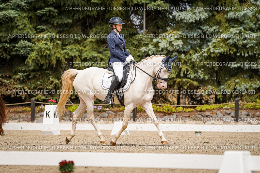 DSC04099 | Pferdegrafie