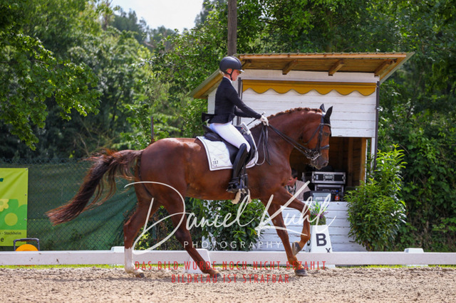 DKP41202 | Turnierfotos kaufen im Webshop von Daniel Kuhl Photography – entdecke professionelle Reitsportfotos aus Turnieren & Events. Hochwertige Turnierbilder online bestellen & sichern. Jetzt Fotos von Reitsportturnieren kaufen!