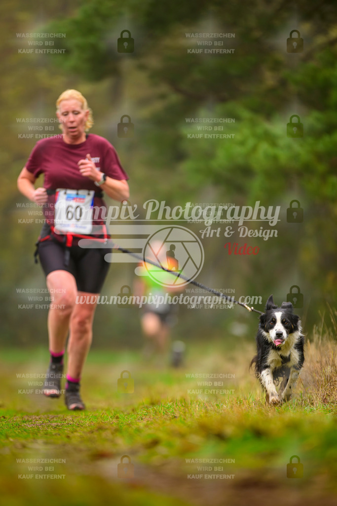 MompixPhotography_Bischwiller2025_Canicross-109 | mompixphotography