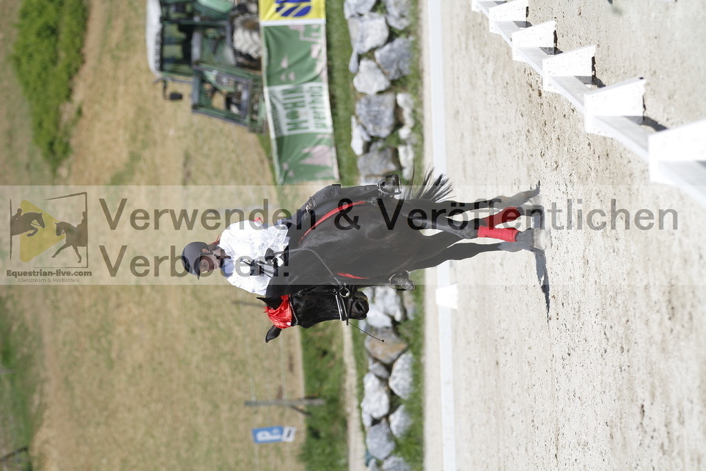 _MG_7360 | equestrian-live-com