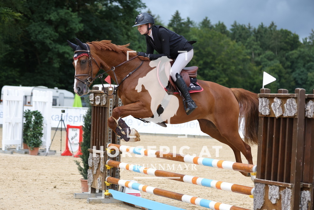 0P6A3843 | Willkommen bei Brunnmayr - Design & Fotografie – Ihrem Spezialisten für Reitturniere und Pferdeveranstaltungen in Oberösterreich, Salzburg und Bayern! Seit über 17 Jahren sind wir leidenschaftlich dabei.