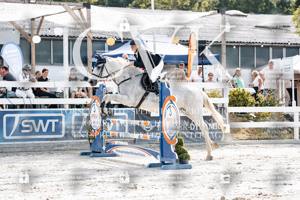 CK905493 | Turnierfotografie Pferdefotografie Trier Rheinland-Pfalz Pferdesport Reitsport Tierfotografie Sportfotografie Pferdevideo Pferdevideografie Equestrianvideography equestrianphotography  - Realisiert mit Pictrs.com