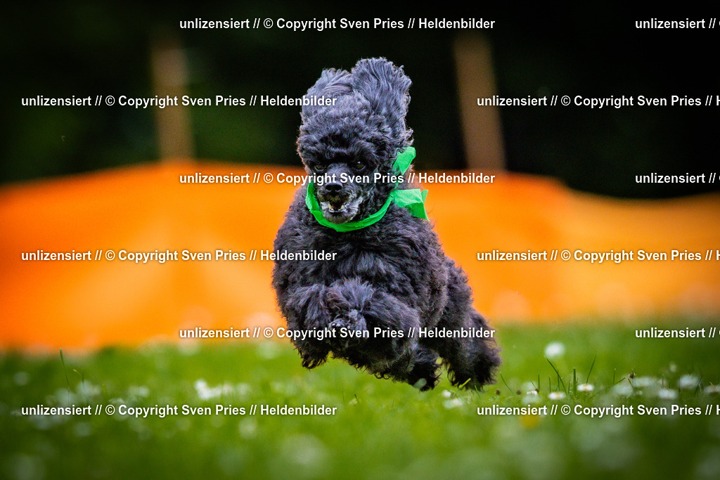 Sven Pries | 2025-05-29 - Pudelrennen KA-Durlach - Realisiert mit Pictrs.com