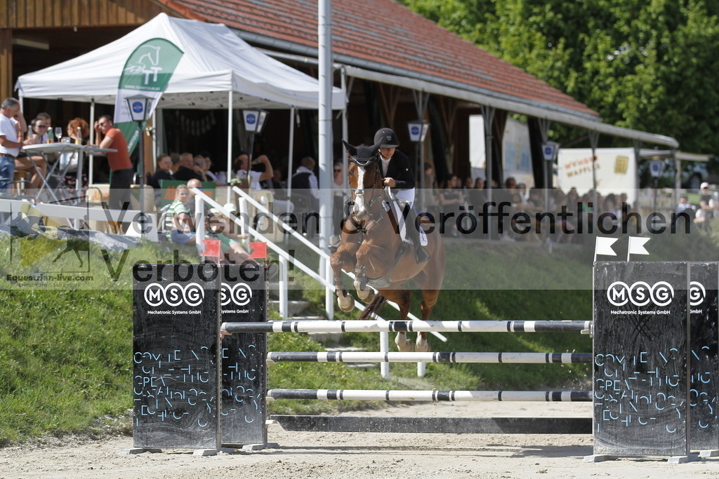 _MG_0501 | equestrian-live-com