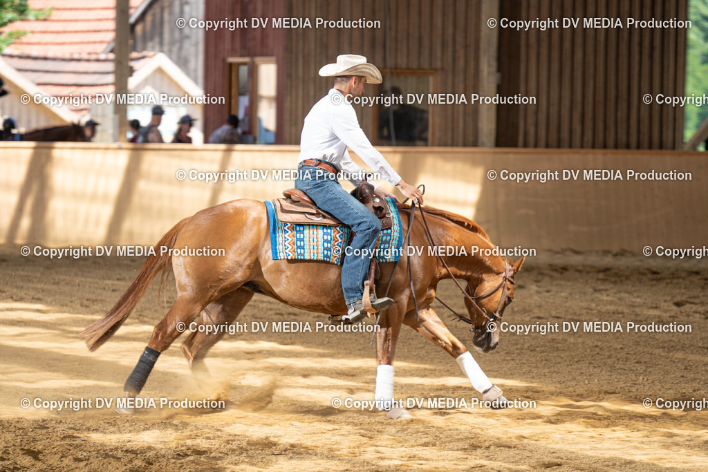 DSC00077 | dv-media-shop - Realisiert mit Pictrs.com