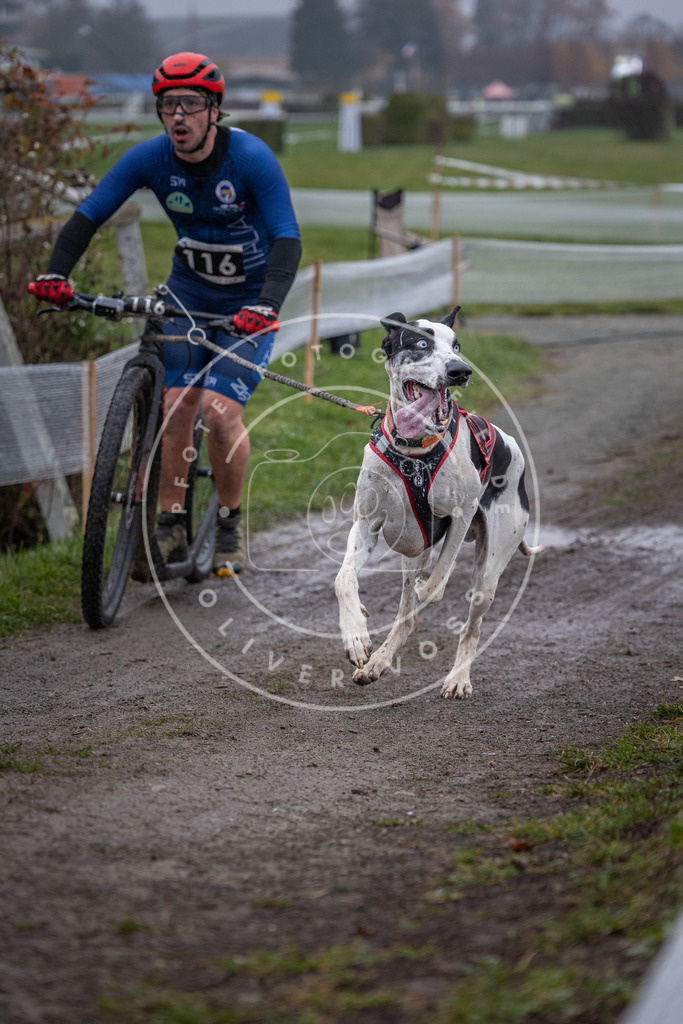 CaniXpix_0L8A0653 | Hundefotografie, Tierfotograf, Pfotenfotografie, Fotoshooting Hund, Hunde Portrait, Hundesport, Hundeportraits, Heideshooting, Hunde, Sportfotograf, Hundefotograf, Turnierhundsport, THS,  - Realisiert mit Pictrs.com