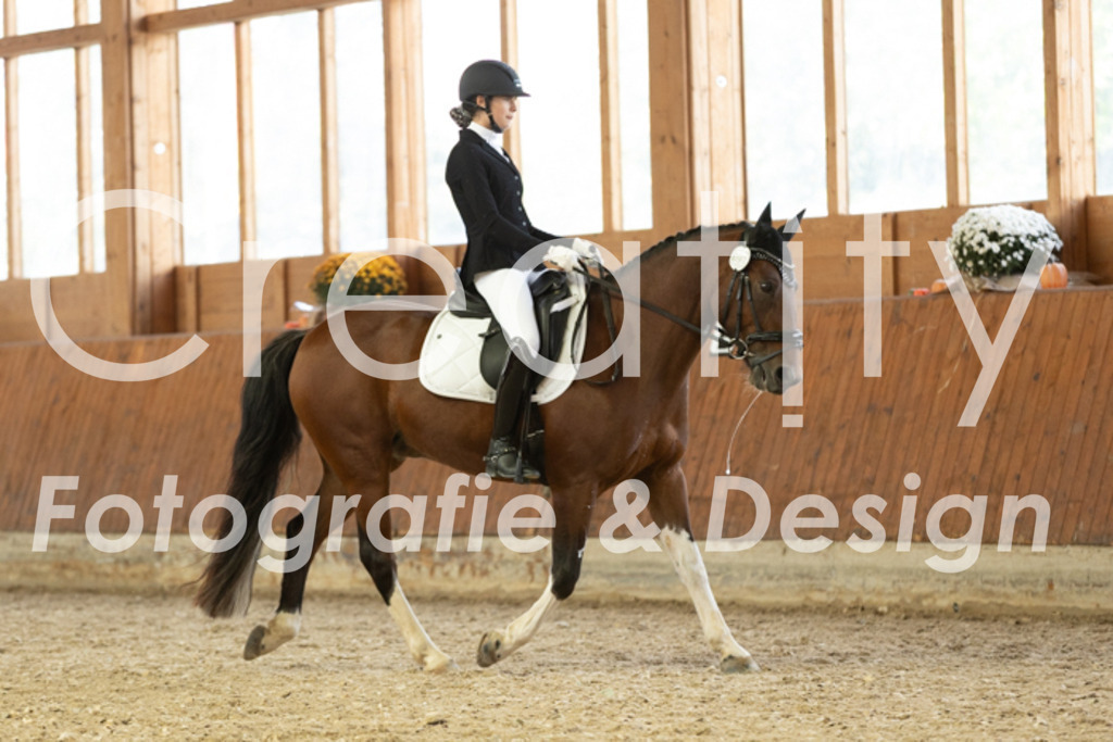 IMG_6132 | Creatify Fotografie