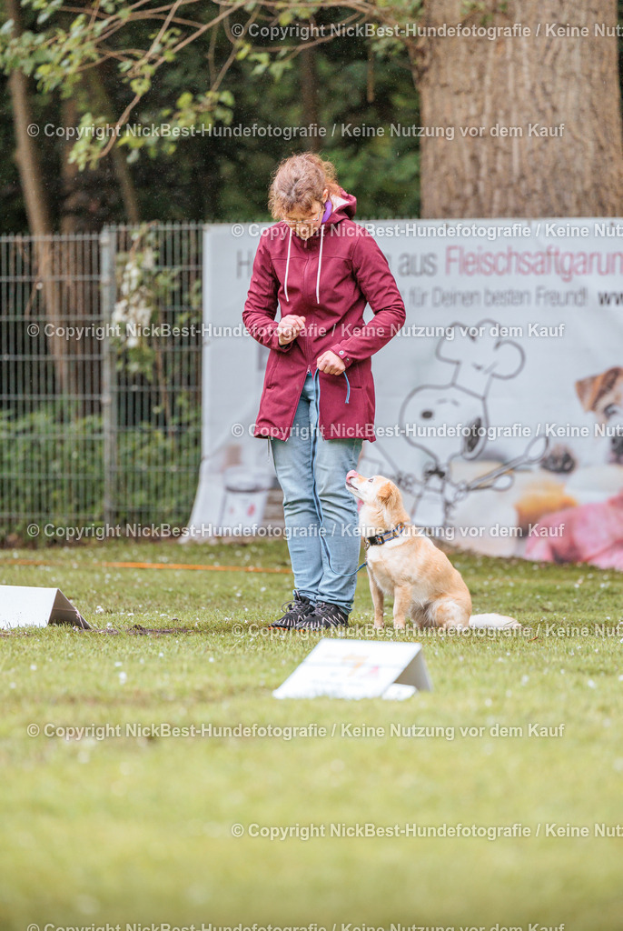 RO-Blumenthal-2026-Nickbest-Hundefotografie-0624 | Dein Hund! Dein Moment! Deine Erinnerungen! Hundefotografie in Bremen Blumenthal. Ich fange die besonderen Momente deines Vierbeiners ein – ob Indoor mit Blitzanlage oder in der freien Natur. Sicher dir dein Moment und dein Termin für eure Erinnerungen.