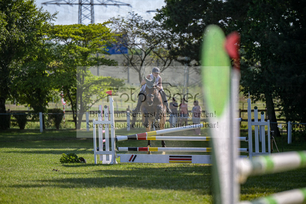 Reitturnier Voxtrup | Entdecke hochwertige Reitturnierfotos von Foto Oger. Professionell, emotional und authentisch – jetzt Lieblingsmomente im Shop bestellen.Deutschlandweite Turnierfotografie. - Realisiert mit Pictrs.com