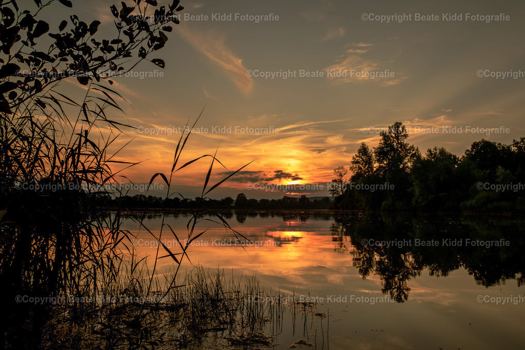 P1990769 | beatekidd-fotografie - Realisiert mit Pictrs.com