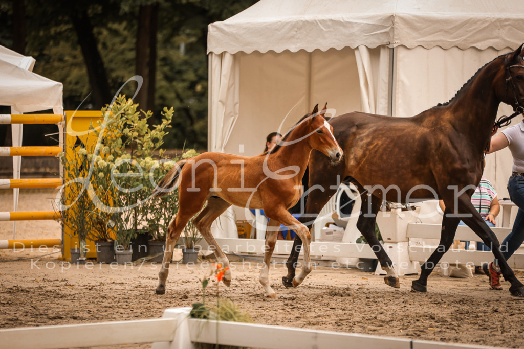 SaPA00234 | Leoni Ertmer Photography - Realisiert mit Pictrs.com