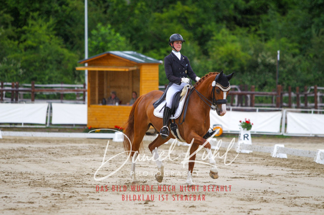 DKP47924 | Turniersportfotografie; Pferdefotografie; Dressurfotografie