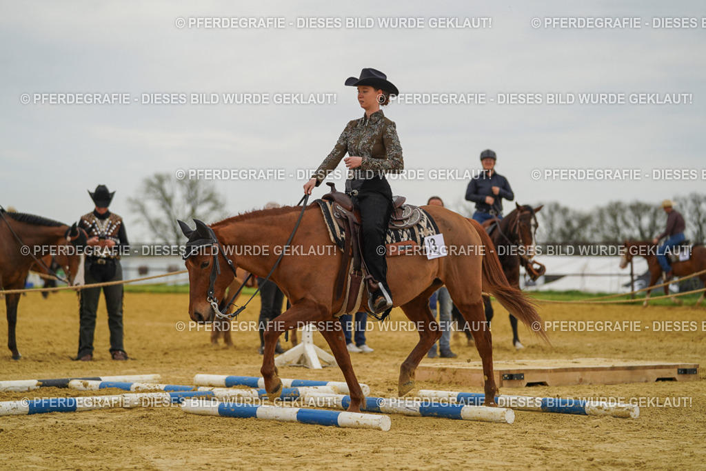 DSC02681 | Pferdegrafie