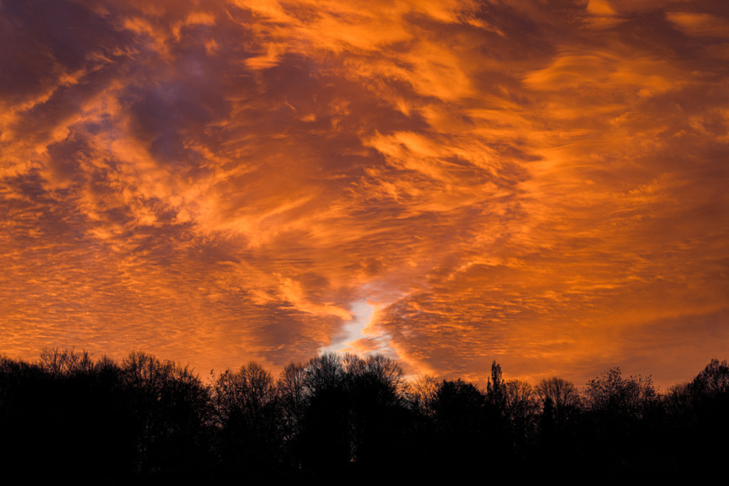 Wolkenglühen über Bäumen | Ein Sonnenuntergang im Herbst lässt eine zerzauste Wolkendecke erglühen, vom Himmel bleibt ein kleiner Durchblick hinter der Baumreihe frei, die den unteren Bildrand säumt. — Auflösung des Originals: 8256 x 5504 px. - Realisiert mit Pictrs.com