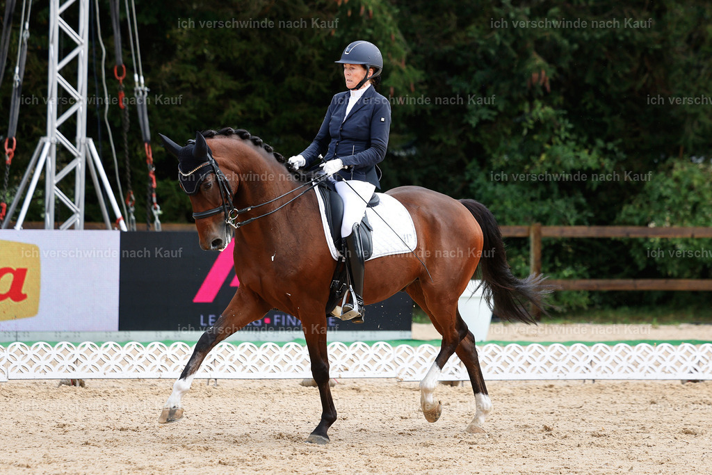 05-117-DRESSUR M_  -StoibPH-4935 | working equitationturnier fotograf videograf stoibphotography marixx film working equitation deutschland reitsport turnierfotografie eventfotografie equestrian events