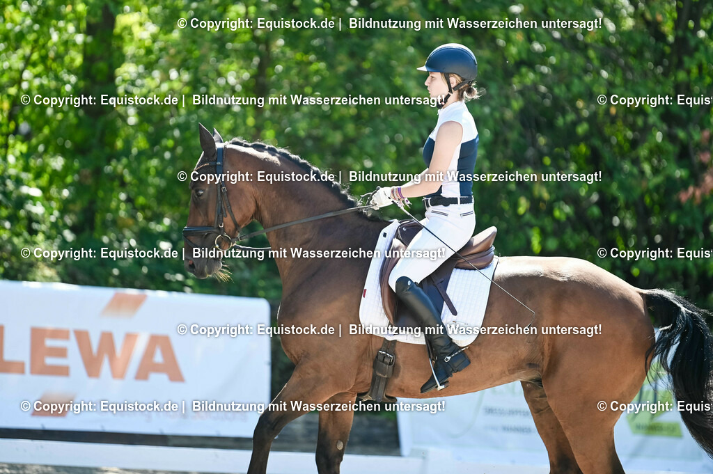 20230908_06_Dressur-L-Trense_0376 | equistock