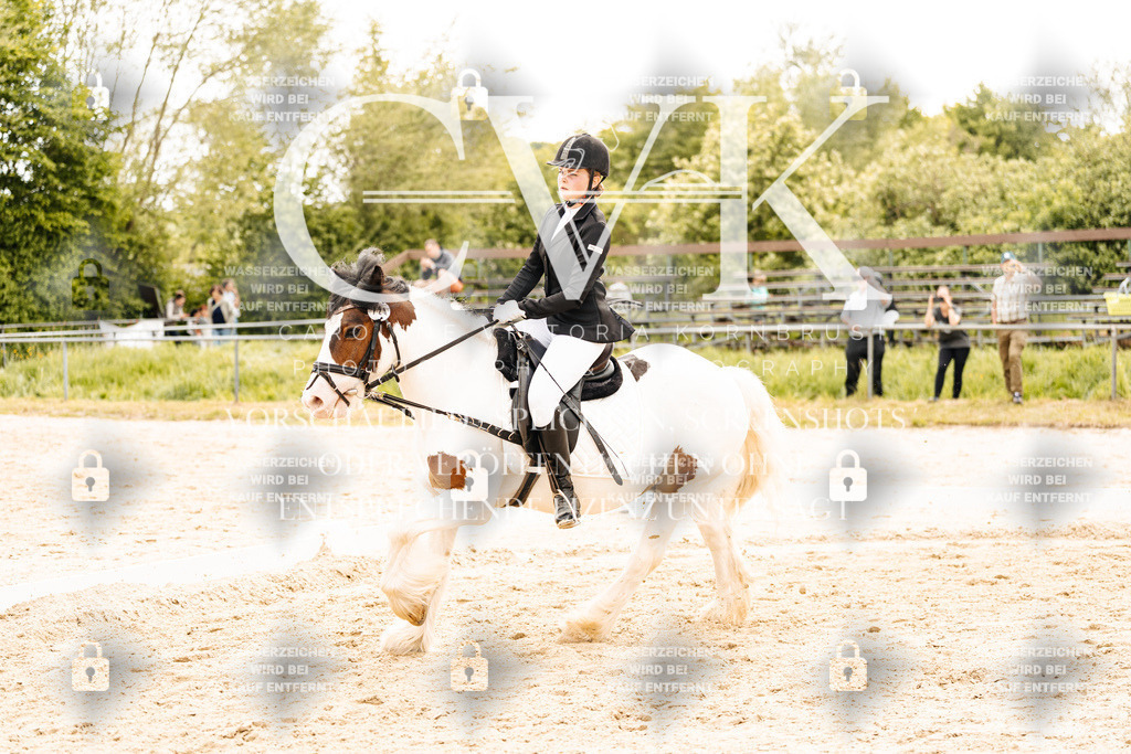 CK904328 | Turnierfotografie Pferdefotografie Trier Rheinland-Pfalz Pferdesport Reitsport Tierfotografie Sportfotografie Pferdevideo Pferdevideografie Equestrianvideography equestrianphotography  - Realisiert mit Pictrs.com