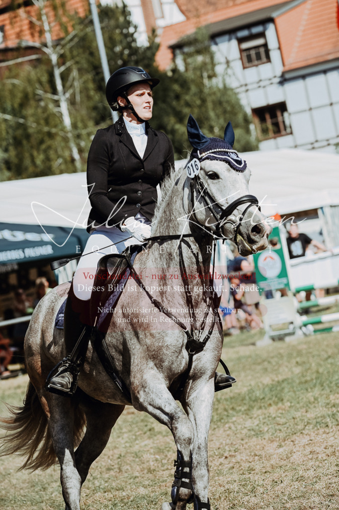 DSC_9486 | Pferde- und Turnierfotografie in Westsachsen. Pferdeportraits, Auftragszeichnungen und intuitive Kunst.