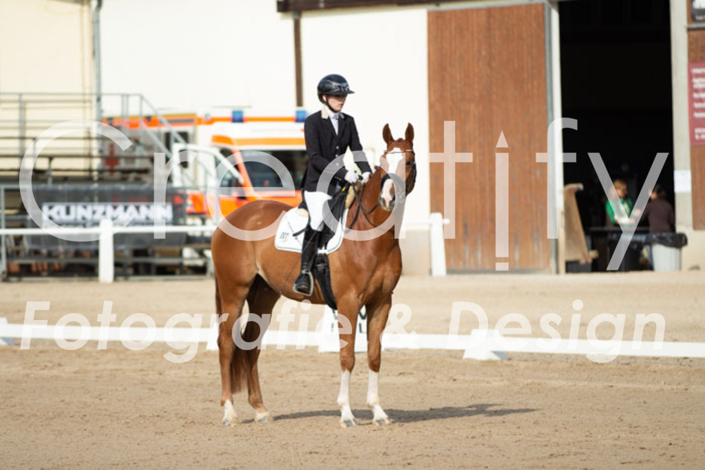 IMG_0679 | Creatify Fotografie