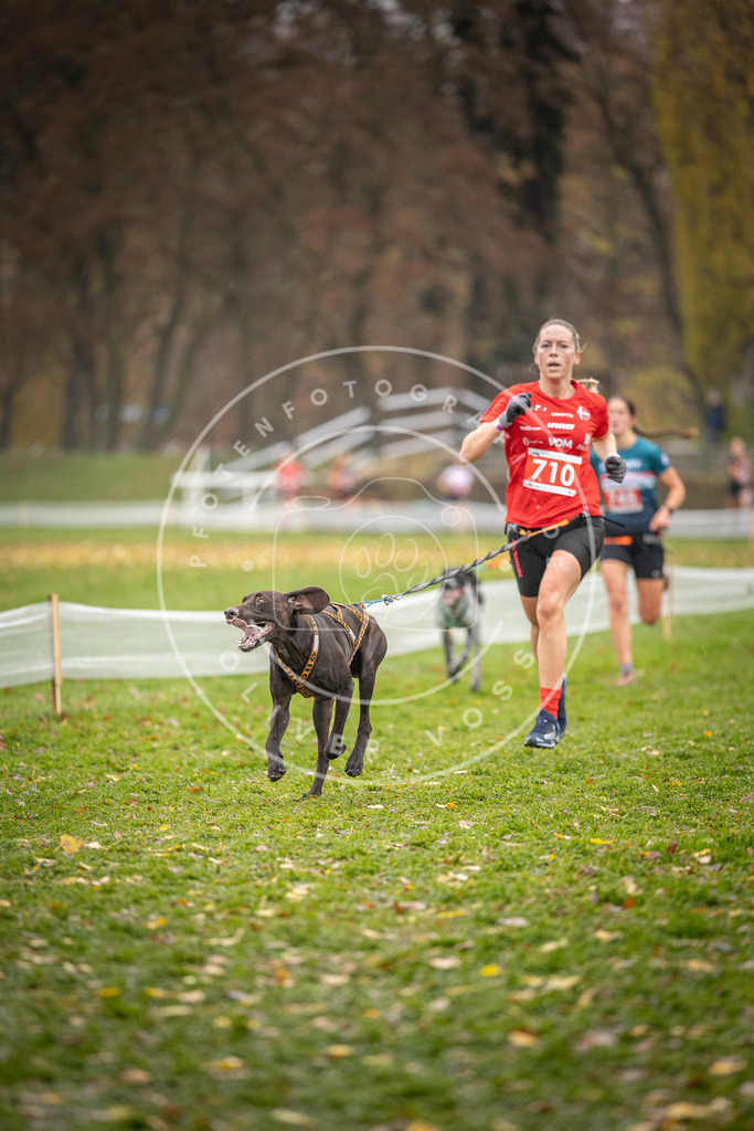 CaniXpix_DV3A9183 | Hundefotografie, Tierfotograf, Pfotenfotografie, Fotoshooting Hund, Hunde Portrait, Hundesport, Hundeportraits, Heideshooting, Hunde, Sportfotograf, Hundefotograf, Turnierhundsport, THS,  - Realisiert mit Pictrs.com