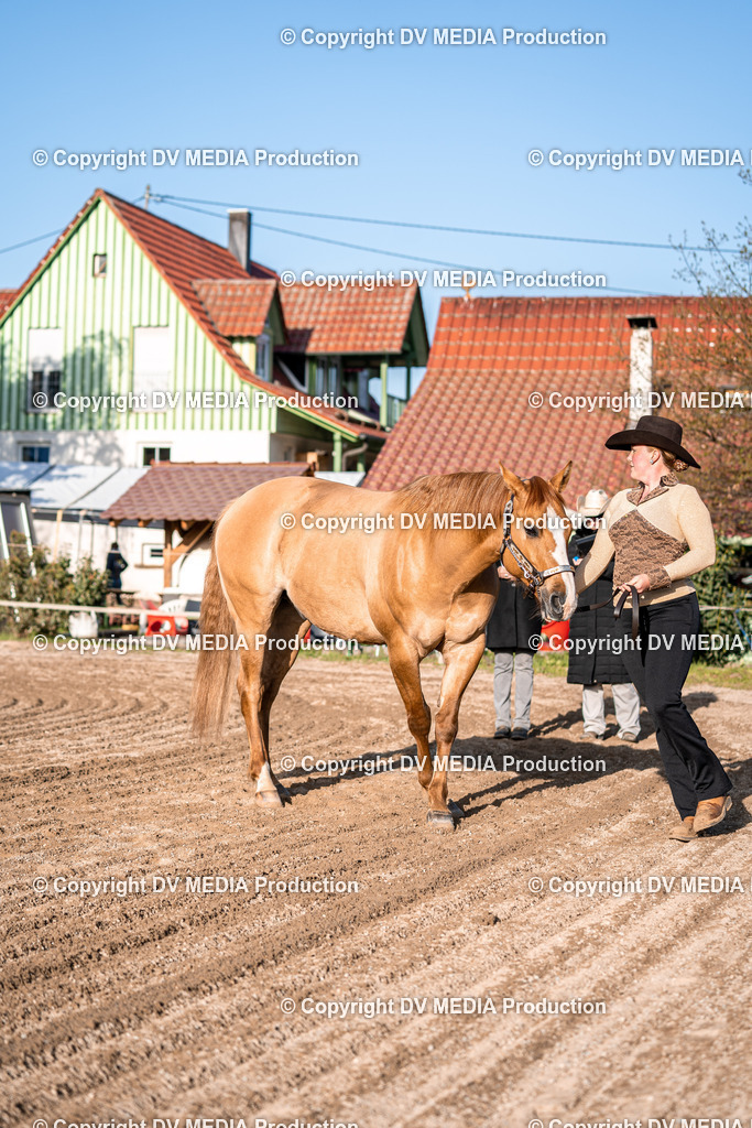 Balingen Tag 4-48 | dv-media-shop - Realisiert mit Pictrs.com