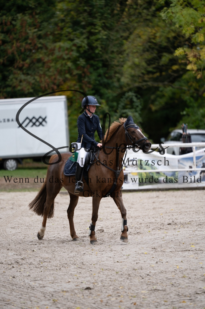 A7V01118 | Pferdefotograf